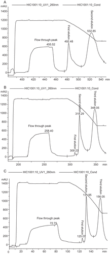 Figure 1.  Chromatographic separation of pDNA isoforms with HIC. Linear gradient was performed at 400 cm/h by decreasing the ammonium sulfate concentration. (A) 2–1 M ammonium sulfate in 40 mM Tris/HCl, pH 8.0, (B) 2.5–1 M ammonium sulfate in 40 mM Tris/HCl, pH 8.0, (C) 3–1 M ammonium sulfate in 40 mM Tris/HCl, pH 8.0.