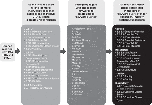 Figure 2. Method of retrospective analysis of queries received from the FDA and EMA for each biosimilar. Abbreviations: CTD, Common Technical Document; DS, Drug Substance; DP, Drug Product; EMA, European Medicines Agency; FDA, US Food and Drug Administration; RA, Regulatory Authority; ICH, International Conference on Harmonisation; M3, Module 3; RS, Reference Standards; US, United States.