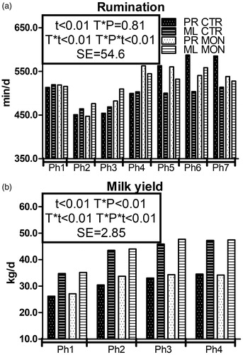 Figure 2. Pattern of rumination time (a) and milk yield (b) in multiparous (ML) and primiparous (PR) cows that received a controlled-release capsule of monensin at –21 days from calving (DFC; Mon) or not (Ctr). t is the time effect; T × P, is the treatment × parity interaction effect; T × t, the treatment × time interaction effect; T × P × t, the treatment × parity × time interaction effect; Ph, the phase (phase durations for the rumination time are Ph1 = from –21 to –6 DFC; Ph2 = from –7 to 0 DFC; Ph3 = from 1 to 7 DFC; Ph4 = from 8 to 21 DFC; Ph5 = from 22 to 35 DFC; Ph6 = from 36 to 49 DFC; and Ph7 = from 50 to 56 DFC. Phase durations for milk yield are Ph1 = from 2 to 13 DFC; Ph2 = from 14 to 27 DFC; Ph3 = from 28 to 41 DFC; and Ph4 = from 42 to 56 DFC); SE is the standard error of the model.