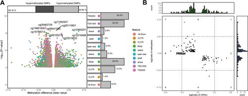 Figure 8 Aberrant methylation of common genes in COPD. (A) Differentially methylated probes (DMPs) between COPD patients and controls in the GSE63704 dataset, including hyper- and hypomethylated DMPs. (B) ∆Beta levels and expression levels of methylation markers.