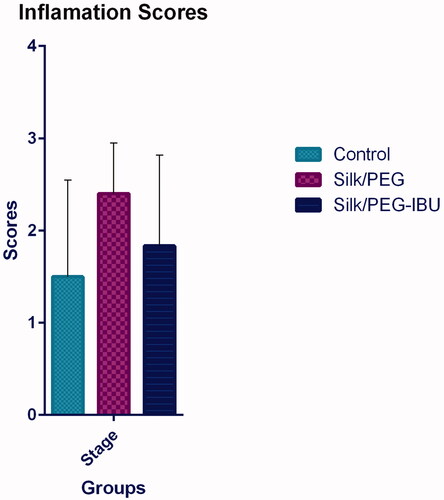 Figure 11. Inflammation Score of the sample. The data are shown as mean ± SD. (p < .05).