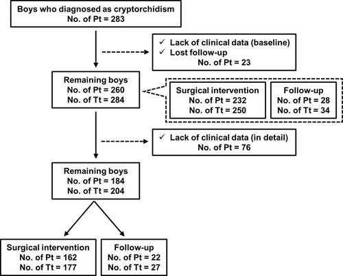 Figure 1 Study flow. A total of 283 boys were diagnosed with cryptorchidism between January 2006 and December 2017 at our institute. Twenty-three boys were excluded owing to the lack of baseline data or follow-up data. The remaining 260 boys were investigated in this study. Of the 260 boys, 232 underwent orchiopexy. Of the 260 boys, 76 boys were additionally excluded because of the lack of detailed data. A detailed investigation was conducted for the remaining 184 boys.