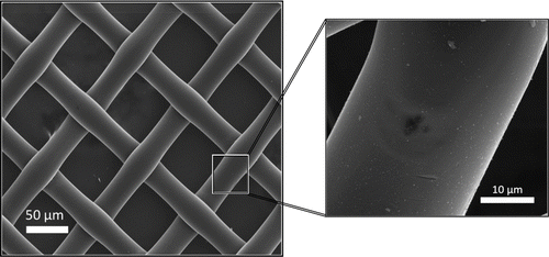 FIG. 1 Scanning electron microscopy image of NY60 nylon mesh screen with insert showing fluorescein loading (white spots) on a single fiber.