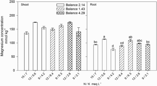 Figure 4. Effect of nitrogen (N) and potassium (K) balance and concentration in the nutrient solution on shoot and root magnesium concentration of lisianthus plants.