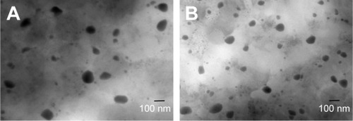 Figure 6 TEM images of L-BA (A) and FA-L-BA (B) (×25,000).