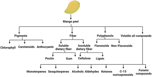Figure 1. Value-added compounds present in mango peel.