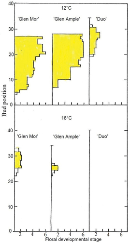 Figure 2. Effects of temperature on profiles of flower development stages of lateral buds along the entire shoot of three red raspberry cultivars after growth for 9 weeks at 12°C and 16°C as shown. The data represent one single plant per treatment. No flower buds were observed at 20°C. Buds at stages ≥ 2 are indicated in yellow.