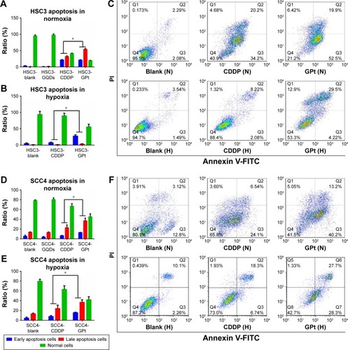 Figure 7 GPt promotes cell apoptosis in OSCC cells. Apoptotic rates of HSC3 and SCC4 cells treated with or without GQDs, free CDDP, or GPt (A–F). HSC3 cells were treated with 8.46 μM (normoxia) and 12.84 μM (hypoxia) of free CDDP and GPt, respectively, and SCC4 cells were treated with 8.93 μM (normoxia) and 19.71 μM (hypoxia) of free CDDP and GPt, respectively. *p<0.05.Abbreviations: CDDP, cisdiamminedichloroplatinum (II); GQDs, graphene quantum dots; OSCC, oral squamous cell carcinoma; FITC, fluorescein isothiocyanate; PI, propidium iodide; N, normoxia; H, hypoxia; GPt, polyethylene glycol-GQDs-Pt.