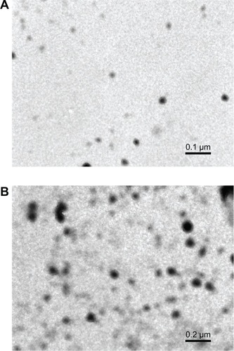 Figure 4 Transmission electron micrographs of polyethylene glycol diacrylate cross-linked acrylic polymers with (A) 0.5% cross-linking and (B) 1.0% cross-linking.Note: Particle size increased as cross-linking increased.