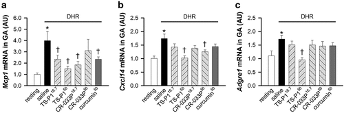 Figure 5. Inhibitory effect of TS-P1 and CR-033P on macrophage activation upon DHR. (a-c) measurement of relative levels of mRnas of Mcp1 (a), Cxcl14 (b), and Adgre1 (c), which are genes involved in macrophagic activation, in GA of mice treated with or without saline, TS-P116.7, TS-P150, CR-033P16.7, CR-033P50, and curcumin50. Data were expressed as mean ± SEM (n = 8, *p < .05 for resting and †p < .05 for saline by Mann – Whitney rank sum test).