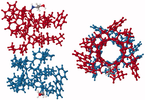 Figure 7. Solid-state NMR structure of the ion channel gramicidin A. Structure of gramicidin A viewed from the side (left) and from the top (right) coloured to distinguish the two head-to-head helices of the dimer (red and blue). The structure was drawn with PDB file 1MAG using Jmol: An open-source Java viewer for chemical structures in 3D (http://www.jmol.org/) (Herráez, Citation2006). This Figure is reproduced in colour in Molecular Membrane Biology online.