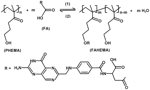 Scheme 2. Preparation of FAHEMA through an esterification reaction of PHEMA with FA.