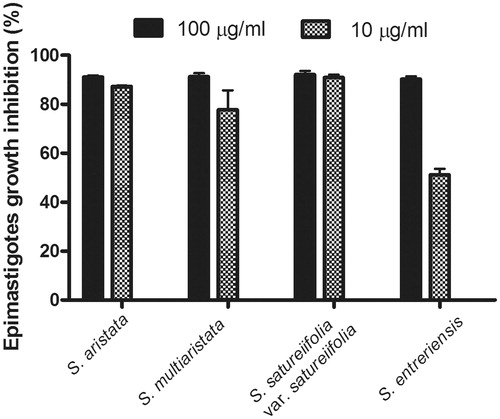 Figure 1. Trypanocidal activity of organic extracts of Stevia aristata, Stevia aristata, Stevia satureifolia var. satureifolia, Stevia multiaristata against T. cruzi epimastigotes. Epimastigotes were cultured for 72 h at 28 °C in the presence of the extracts at concentrations of 100 and 10 μg/mL. Values represent mean ± SEM from three independent experiments carried out in triplicate.