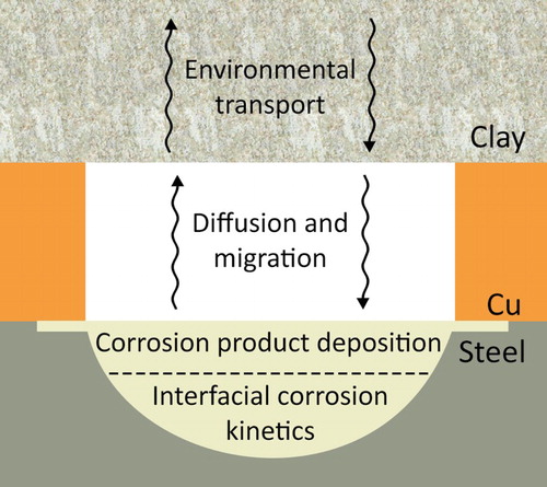 Figure 6. Schematic illustration of the processes to be considered in a finite element model for the corrosion of steel at a through-Cu coating defect.