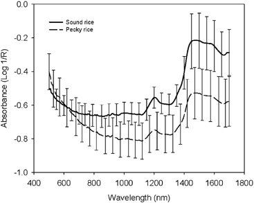 Figure 1. Absorption curves for pecky and sound rice kernels. Vertical bar represents one standard deviation.