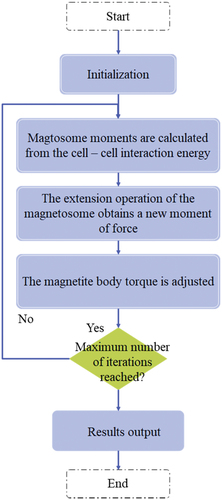 Figure 3. Flowchart of the optimization algorithm for magnetic bacteria.