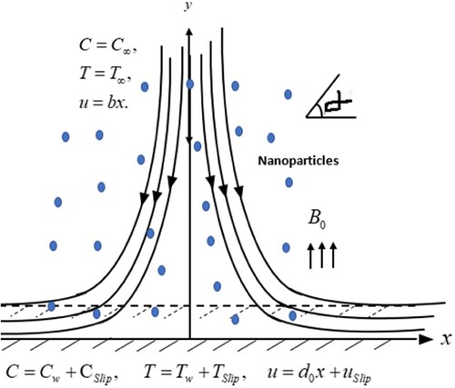 Figure 1. Physical model of the problem.