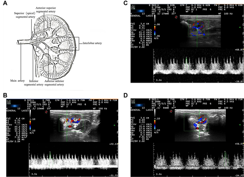 Figure 4 Continued.