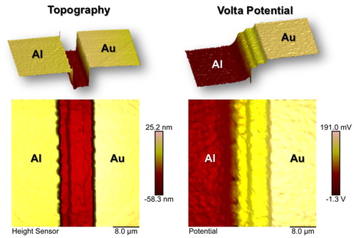 Figure 11. Topography and Volta potential information of the reference sample PFKPFM-SMPL having domains of pure aluminium and gold coated on silicon.