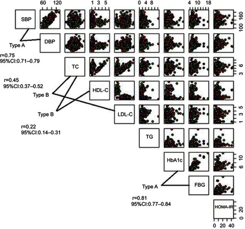 Figure 3 Correlation matrix of nine candidate attributes. Three types of correlation are observed. Type A is a high correlation between FBG and HbA1c, as well as between systolic blood pressure and diastolic blood pressure. Type B correlation exists between total cholesterol and HDL-C, as well as between total cholesterol and LDL-C. Type C exists in the remaining pairs of attributes.