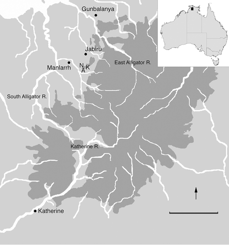 Fig. 2. Map over western Arnhem Land with some of the places mentioned in this article marked out. A = Anbangbang, N = Nanguluwurr, and K = Kurrih. The escarpment or Stone Country is marked with darker grey. Scale in map is 50 km.