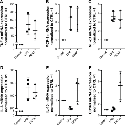 Figure S2 mRNA gene expression analyses of target genes (TNF-α, MCP-1, NF-κB, IL-6, IL-10, and CD163). mRNA target gene expressions of untreated Mφ, Mφ treated with LPS (1 μg/mL for 4 hours), and LPS-induced Mφ treated with dexamethasone (10 μM for 24 hours). Target gene expression levels were normalized to the stable housekeeping gene GAPDH, and the resulting mRNA ratios were normalized to untreated control Mφ and given the value 1. Controls for (A) TNF-α, (B) MCP-1, (C) NF-κB, (D) IL-6, (E) IL-10, and (F) CD163.Abbreviations: Mφ, macrophages; TNF-α, tumor necrosis factor-alpha; MCP-1, monocyte chemoattractant protein; NF, nuclear factor; IL, interleukin; LPS, lipopolysaccharide; DEXA, dexamethasone; CTRL, control.