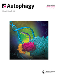 Cover image for Autophagy, Volume 16, Issue 7, 2020