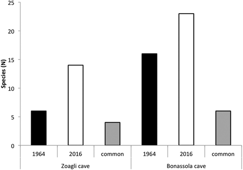 Figure 2. Number of sponge species recorded in the studied caves during both periods. Grey bars represent the species in common between the two periods.