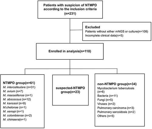 Figure 1 Flowchart of patient enrollment and grouping.