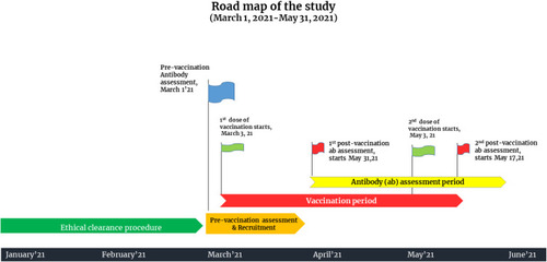 Figure 1 Road map of the study.