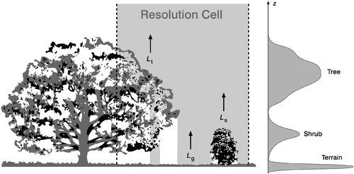 Figure 1 By illuminating vegetation with short pulses of laser light, the vertical profile of the vegetation can be resolved. The diagram on the right shows the echo received by a full‐waveform airborne laser scanner for the situation depicted on the left. Note that 2D imaging systems are not able to differentiate between the radiation originating from different objects within the horizontal resolution cell. In this example, 2D imagers record the sum of radiation stemming from the tree (L t), the shrub (L s), and the ground (L g).