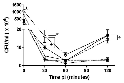 Figure 2. Intracellular invasion and survival in HeLa cells. The results are shown as colony forming units (CFU) at different times pi. Significant differences are shown as black stars (P < 0.05) or gray stars (P < 0.001). Lines and symbols represent: solid line and closed circle, B. melitensis 133; dashed line and open triangle, B. melitensis 133 invA-km; dashed line and open inverted triangle, B. melitensis 133 invA-kmC; dashed line and closed diamond, B. melitensis Rev1; solid line and open circle, B. melitensis 16M. The results are the average of three experiments ± standard deviation.