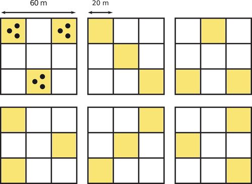 Figure 2. Sampling patterns used for the collection of the DHP over the 60 m × 60 m plots.