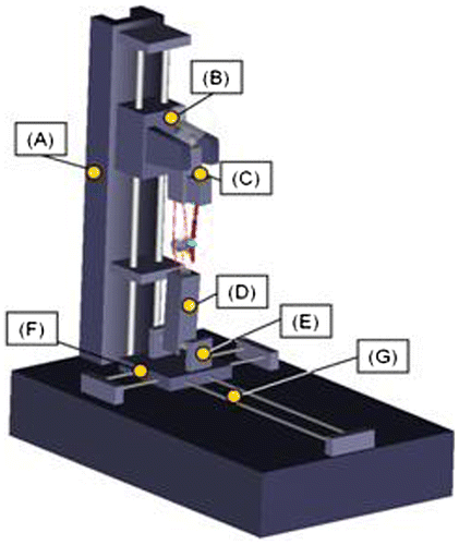 Figure 3. The knee simulator model used in this study. It consists of: a base frame (A), a hip sled (B), a femur block (C), a tibia block (D), a tibia rotation table (E), an adduction–abduction sled (F) and an anteroposterior sled (G).