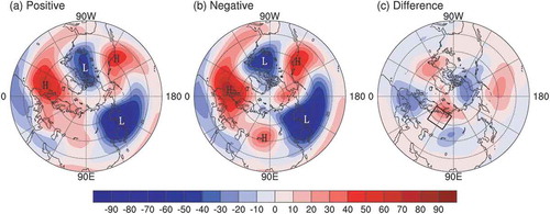 Figure 5. Comparison of stationary waves at the winter geopotential height of 500 hPa during the different phases of the AMO: (a, b) positive- and negative-phase AMO; (c) their difference. ‘H’ indicates the stationary ridge; ‘L’ indicates the stationary trough. The frame in (c) represents the location of the climatological ridge around the Urals. Units: m.