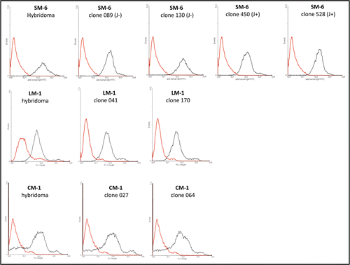 Figure 7 FACS analysis of hybridoma and PER.C6® derived IgM antibodies on tumor cells. Top: FACS analysis of SM-6 antibody binding to tumor cell line BXPC-3. Positive control SM-6 antibody (black line, 100 µg/mL) is hybridoma produced IgM. CP IgM (Chrompure; red line 100 µg/mL) was used as a negative control. PER.C6® SM-6 (J−) clones 089 and 130, and SM-6 (J+) clones 450 and 528 were tested (black line, 100 µg/mL). Middle: FACS analysis of LM-1 antibody binding to the BXPC-3 cell line. Positive control LM-1 (black line, 100 µg/mL) is hybridoma produced IgM. Negative control is CP IgM (Chrompure; red line 100 µg/mL). PER.C6® LM-1 clones 041 and 170 were tested (black line, 100 µg/mL). Bottom: FACS analysis of CM-1 antibody to the tumor cell line A549. Positive control CM-1 (black line, 100 µg/mL) is hybridoma produced IgM. Negative control is CP IgM (Chrompure; red line 100 µg/mL). PER.C6® CM-1 clones 027 and 064 were tested (100 µg/mL).