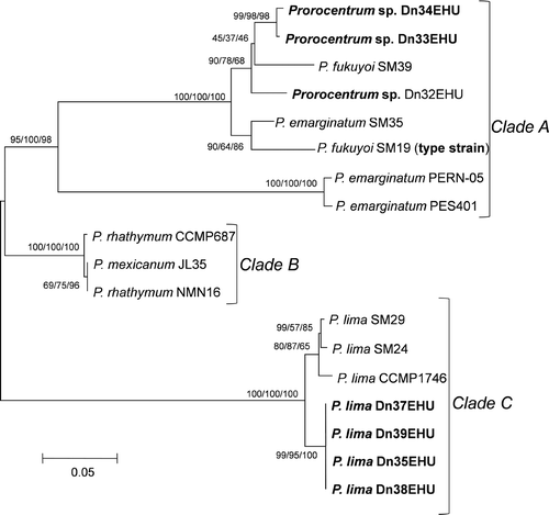 Fig. 57. Phylogenetic analysis of the 492-bp long 28S rDNA LSU sequences of 18 taxa of Prorocentrum (neighbour joining tree, Kimura 2-parameter substitution model). Values on branches are bootstrap values for NJ/MP/ML (1000 iterations).