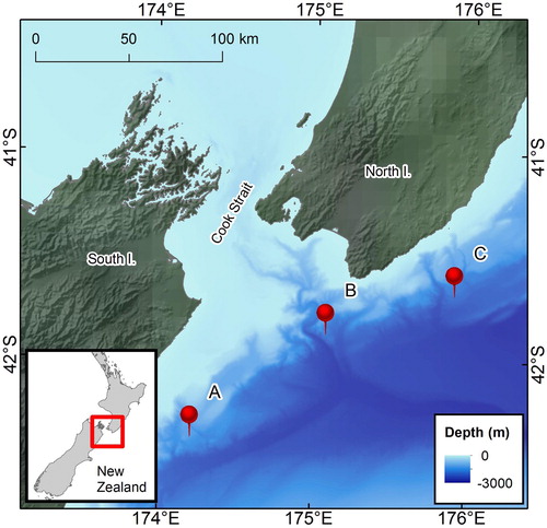 Figure 1 . Location of the 3 acoustic recorders (red pin symbols) in the study area. For consistency with Giorli and Goetz (Citation2019), station A will be referred to as ‘Kaikoura’; Station B will be referred to as ‘Palliser’; Station C will be referred to as ‘Castlepoint’.