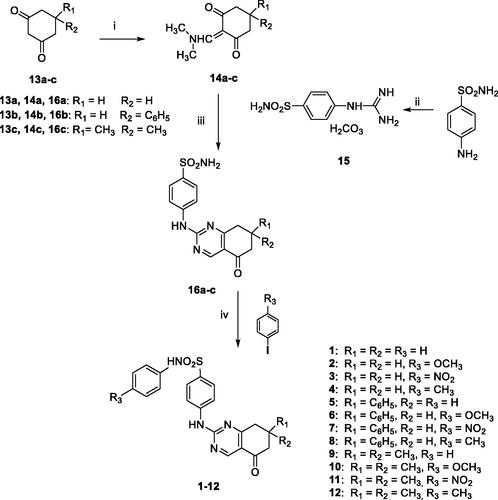 Scheme 1. Reagents and conditions: (i) DMF-DMA, 100 °C, 1 h; (ii) conc HCl/50% cyanamide water solution, 100 °C, 0.5 h; (iii) n-butanol, NaOH, M.W. (40 min, 160 °C); (iv) MeCN, K2CO3, DMEDA, CuI, 100 °C, 8–24 h.