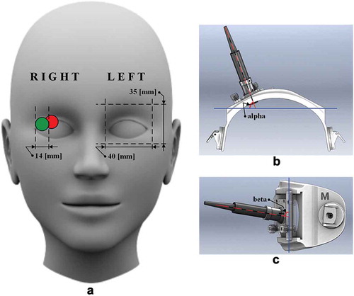 Figure 1. Schematic representation of the measurements of positions and angles of an ultrasonic transducer (UT) on the closed eyelid. (a) Example of the relative positions of the UT of 14 mm in diameter on the closed eyelid in the case of the identified edge of the internal carotid artery (red circle on the right eye) and the depth of intracranial segment of ophthalmic artery selected simultaneously with the depth of the extracranial segment of the ophthalmic artery (green circle on the right eye). The average adult human orbit geometry (height and width) is depicted on the left eye. (b) Schematic representation of the head frame top view used for UT positioning and orientation. Angle alpha, which was measured between the longitudinal axis of the UT (red dashed line) and the frontal axis of a human head (blue solid line), is depicted. (c) Schematic representation of the head frame sideview used for UT positioning and orientation. Angle beta, which was measured between the longitudinal axis of the UT (red dashed line) and the vertical axis of a human head (blue solid line), is depicted.