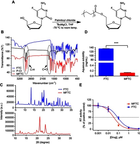 Figure 1 Synthesis and characterization of MFTC. (A) A 16-carbon fatty acid modified MFTC was synthesized with a final yield of 90%. (B) FTIR spectrum of MFTC showing, highlighted in dashed circles, absorption peaks at 2920 and 2860 cm−1 that correspond to CH2-CH2 stretches of the fatty acid chain and at 1745 cm−1 that corresponds to the carbonyl functional group that is part of the formed ester bond. (C) XRD analysis of FTC and MFTC demonstrates the crystalline nature of both drugs. (D) Aqueous solubility of FTC and MFTC demonstrates decrease in solubility of MFTC (mean±SD, n=3; ***P≤0.001). (E) EC50 (dashed line) was determined in vitro by HIV-1 RT activity assay (0.079 and 0.033 µM for FTC and MFTC, respectively) demonstrating the chemical modification did not significantly change the antiretroviral activity of FTC. Results were analyzed by nonlinear regression fit (mean±SD, n=3).Abbreviations: FTC, emtricitabine; MFTC, modified FTC prodrug; FTIR, Fourier transform infrared spectroscopy; XRD, X-ray diffraction; RT, reverse transcriptase; EC50, half maximum effective concentration.