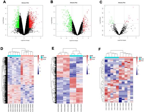 Figure 2 Differentially expressed circRNA, mRNAs and miRNAs in polycystic ovary syndrome patient samples compared with healthy controls. (A) Volcano plots of all circRNAs in dataset GSE145296. (B) Volcano plots of all mRNAs in dataset GSE155489. (C) Volcano plots of all microRNAs in dataset GSE138572. (D) Heatmap of differentially expressed circRNAs in dataset GSE145296. (E) Heatmap of differentially expressed mRNAs in dataset GSE155489. (F) Heatmap of differentially expressed microRNAs in dataset GSE138572. Red dots indicate significantly upregulated genes, and green dots indicate significantly downregulated genes in (A–C). The red diamonds indicate upregulated genes and blue diamonds indicated downregulated genes in (D–F).