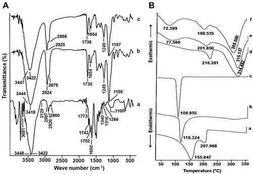 Figure 8 FT-IR spectra and DSC of NFs and their individual components.Notes: (A) FT-IR spectra of pure PVA (a), blank NFs (b), CEO-NE-based NFs (c) and (B) DSC of pure CEO (a), blank NE (b), CEO-NE (c), PVA (d), blank NFs (e), CEO-NE-based NFs (f). Abbreviations: CEO, clove essential oil; DSC, differential scanning calorimetry; FT-IR, Fourier transform infrared spectroscopy; NE, nanoemulsion; NFs, nanofibers; PVA, polyvinyl alcohol.