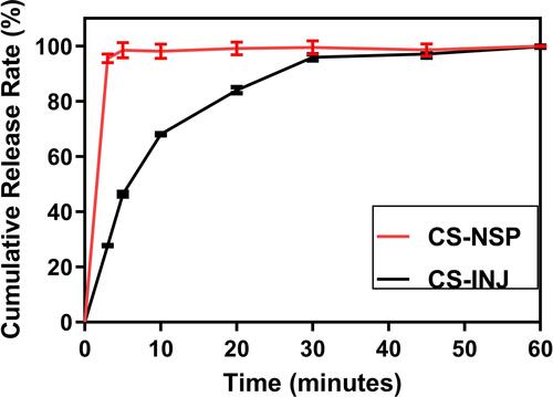 Figure 4 The comparison of cumulative release percentage profiles in CS-NSP and CS-INJ.