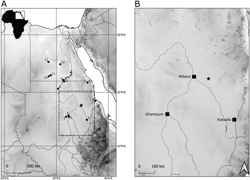 Figure 1. Location of sites in Sudan and Egypt mentioned in the text (EDAR sites marked with a star). 1—Khashm el Girba; 2—Khor Abu Anga; 3—Al-Jamrab; 4—Khor Shambat; 5—Hayna and Tagrada; 6—Sai Island 8-B-11; 7—Gebel Karaiweb; 8—Wadi Halfa; 9—Arkin 8; 10—Bir Sahara; 11—Bir Tarfawi; 12—Kharga Oasis; 13—Dakhla Oasis.