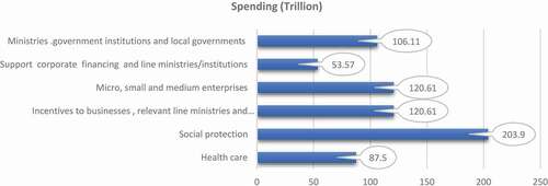 Figure 9. Government spending induced by COVID-19 by area and purpose