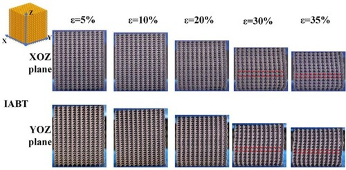 Figure 10. Deformation behaviour of imitation arch bridge telescopic (IABT) lattice structure. Configuration of IABT lattice structure in the XOZ and YOZ plane at 5%, 10%, 20%, 30%, and 35% strains.