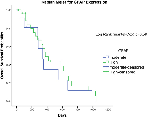 Figure 11 Kaplan-Meier survival analysis demonstrating GFAP expression in glioma patients had an insignifcant difference of overall survival between two groups (p = 0.58; Log rank test).