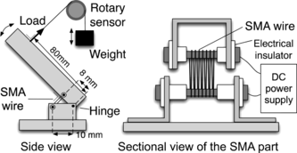 Figure 1 Schematic for the light-driven actuator and experimental setup.