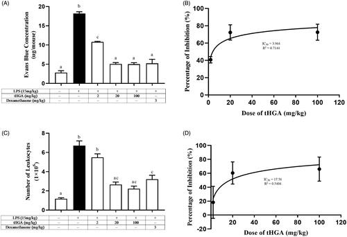Figure 1. Effect of tHGA on (A) vascular leakage with (B) its IC50 and (C) leukocyte infiltration with (D) its IC50 in LPS-induced BALB/c mice. Mice were pre-treated with different doses of tHGA or dexamethasone prior to LPS induction. After 6 h, Evans blue was injected and peritoneal fluid was obtained 30 min later to determine the total vascular leakage. For leukocyte transmigration assay, peritoneal fluid was removed, centrifuged and the cell pellet was stained with Turk’s solution before being counted by using haemocytometer. Data are expressed in mean ± S.E.M. (n = 6), with groups that have no superscript letter in common are significantly different from each other (p ≤ 0.05).